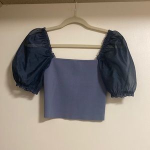 Aritzia Wilfred Sheer Puff Sleeve Top